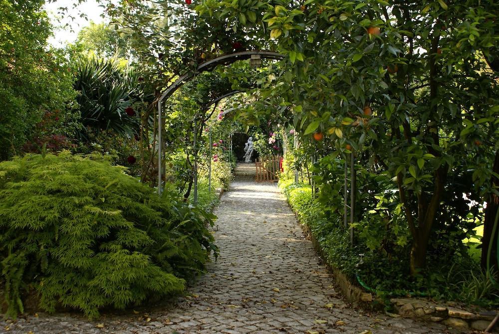 Quinta De Sao Lourenco أناديا المظهر الخارجي الصورة