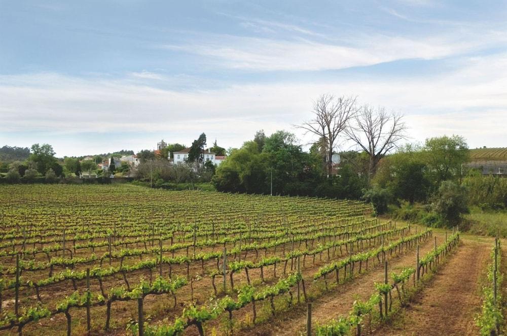 Quinta De Sao Lourenco أناديا المظهر الخارجي الصورة